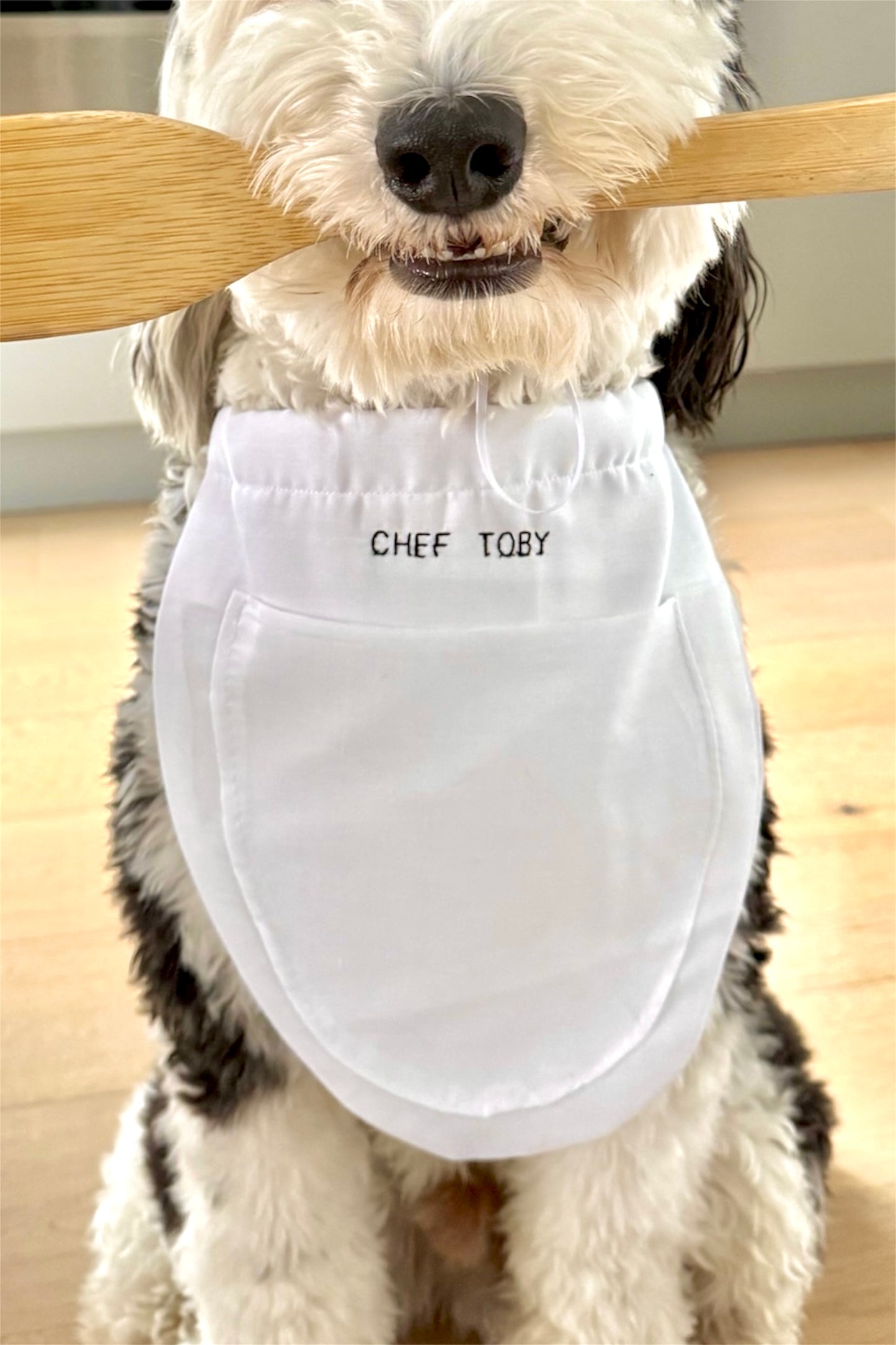 Chef Apron
