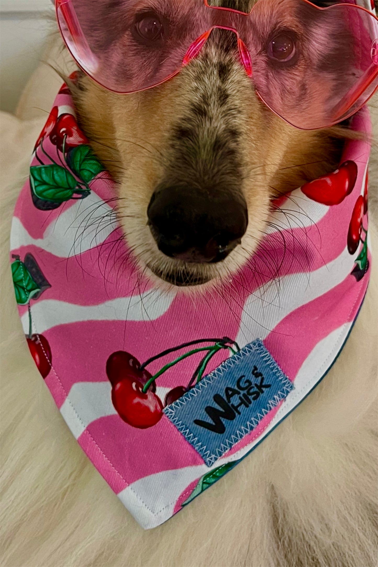 3 Snaps Bandanas