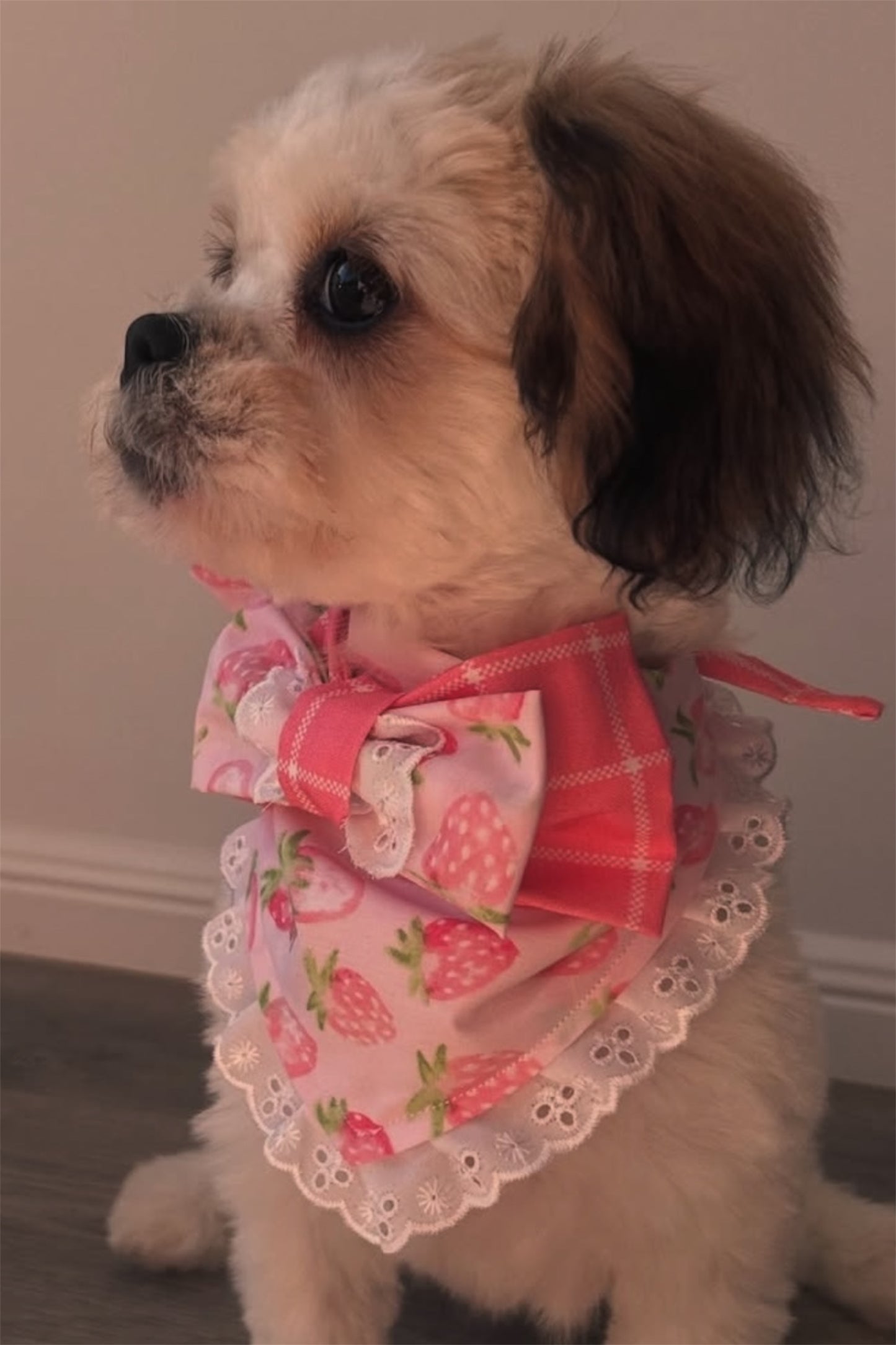 Luxe Tie-Up Bandanas