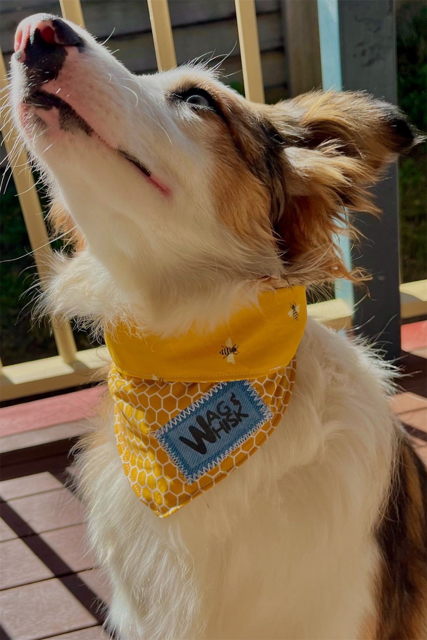Tie-Up Reversible Bandanas