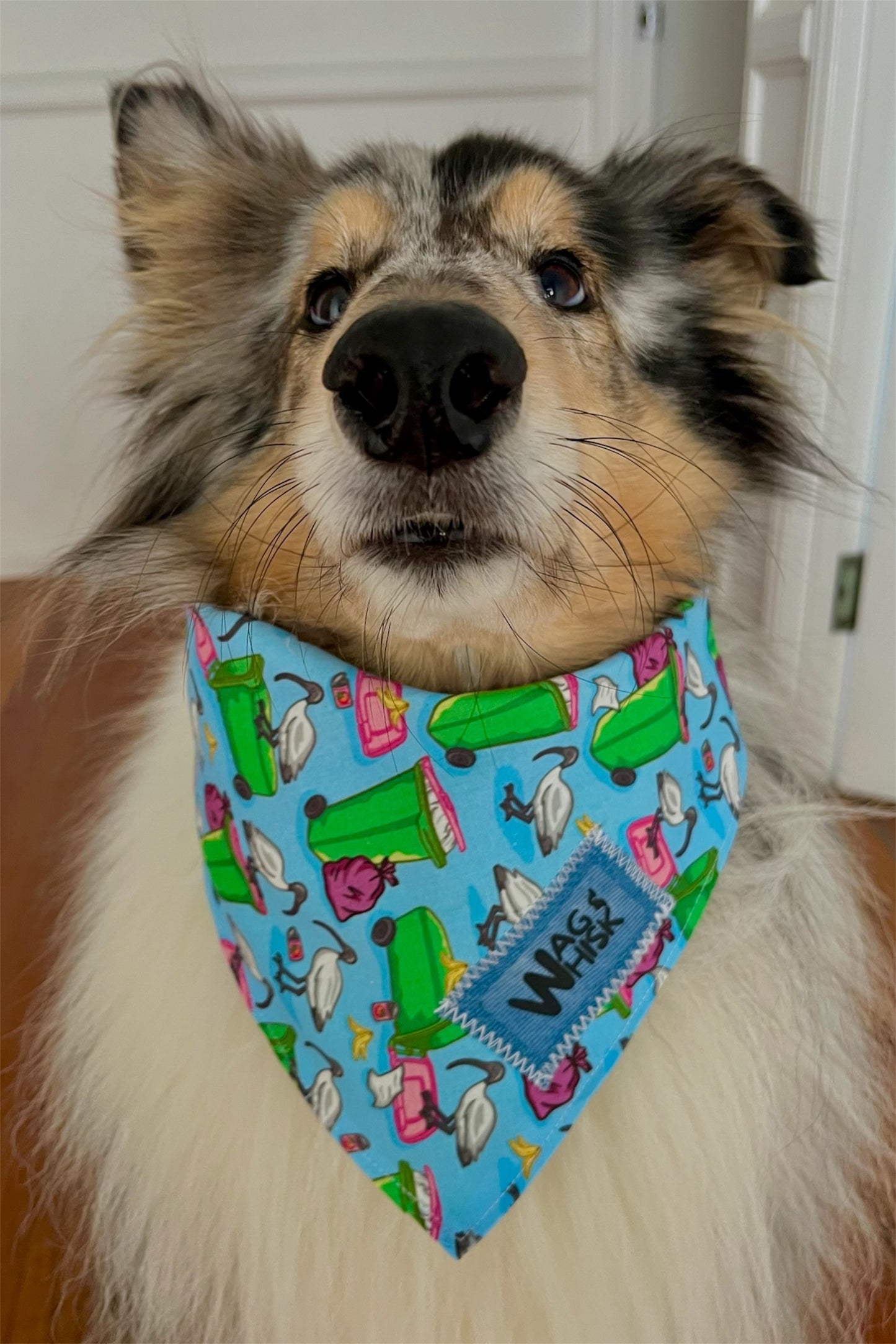 3 Snaps Bandanas