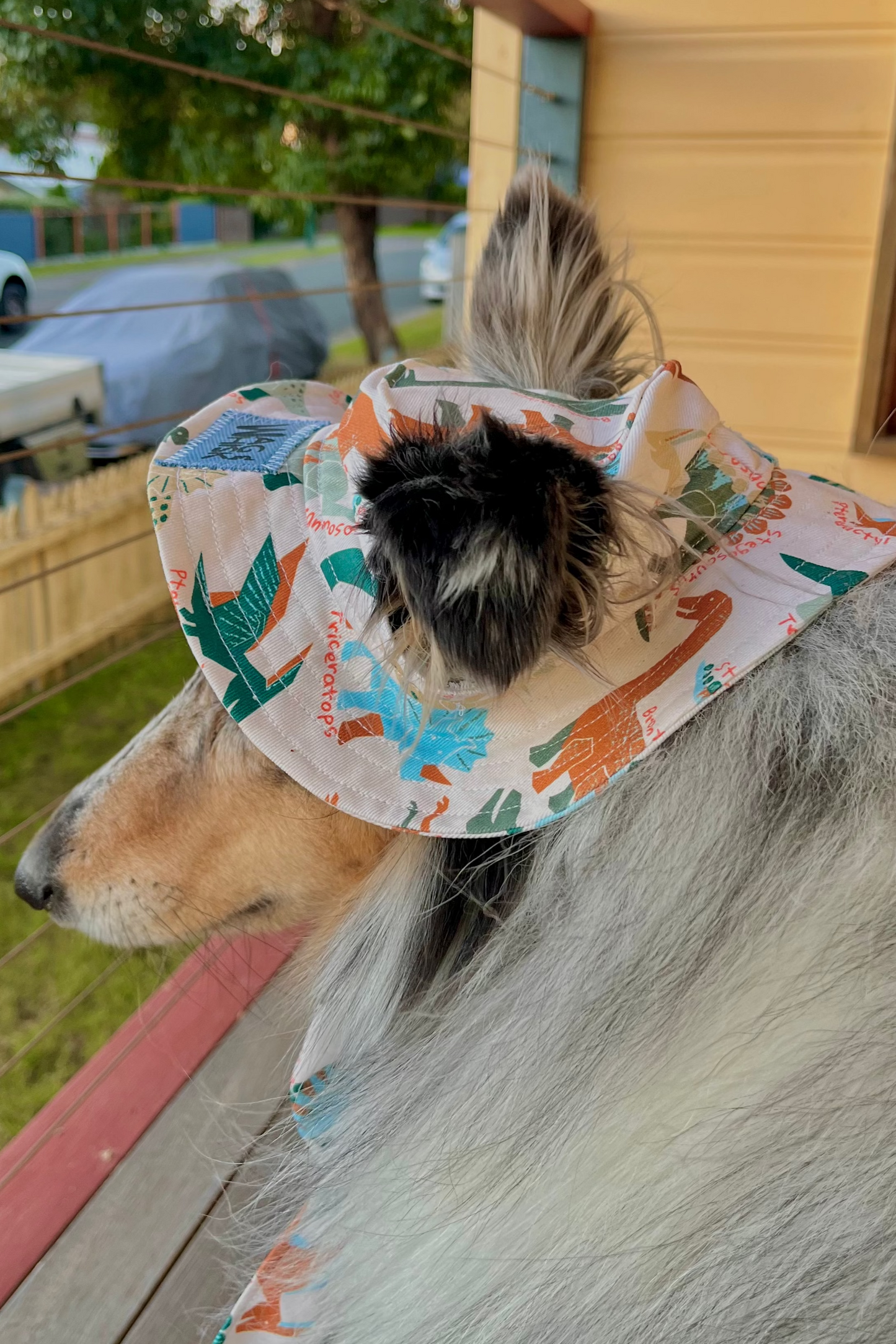 Barket Hats