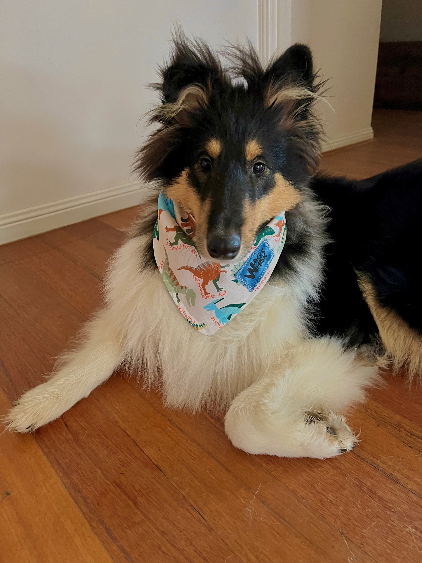 3 Snaps Bandanas