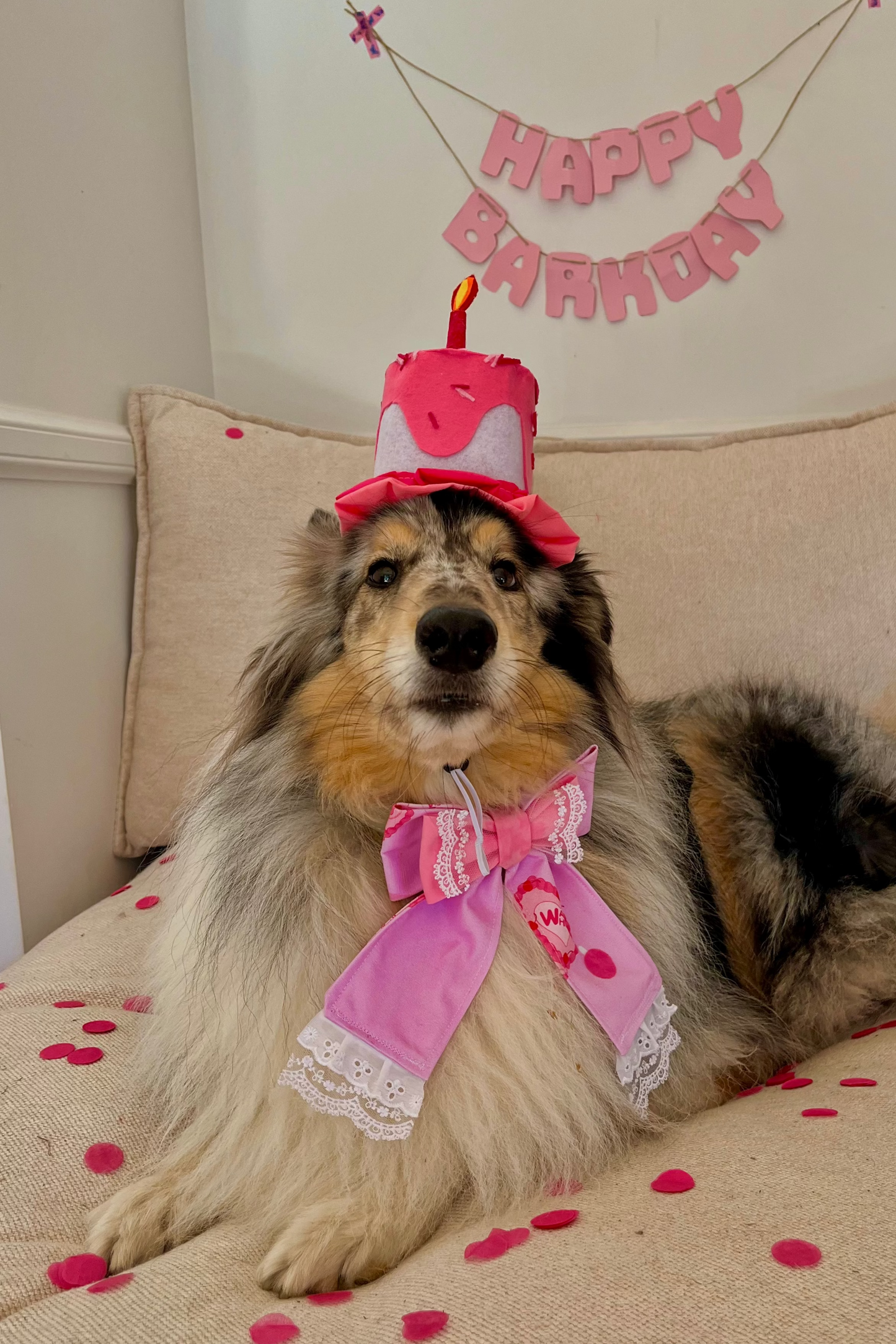 Barkday Bows