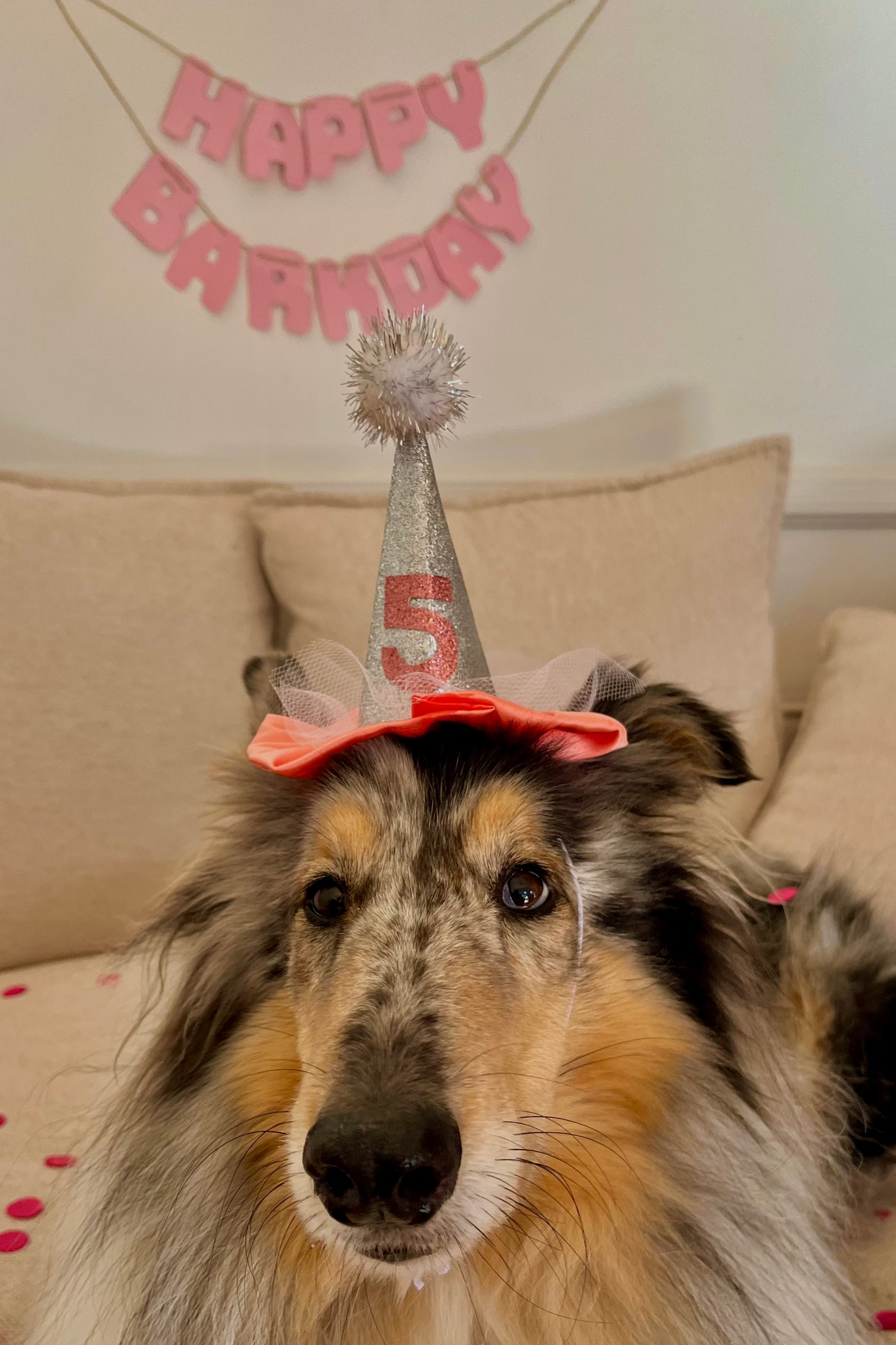 Create Your Own PAW-ty Hat