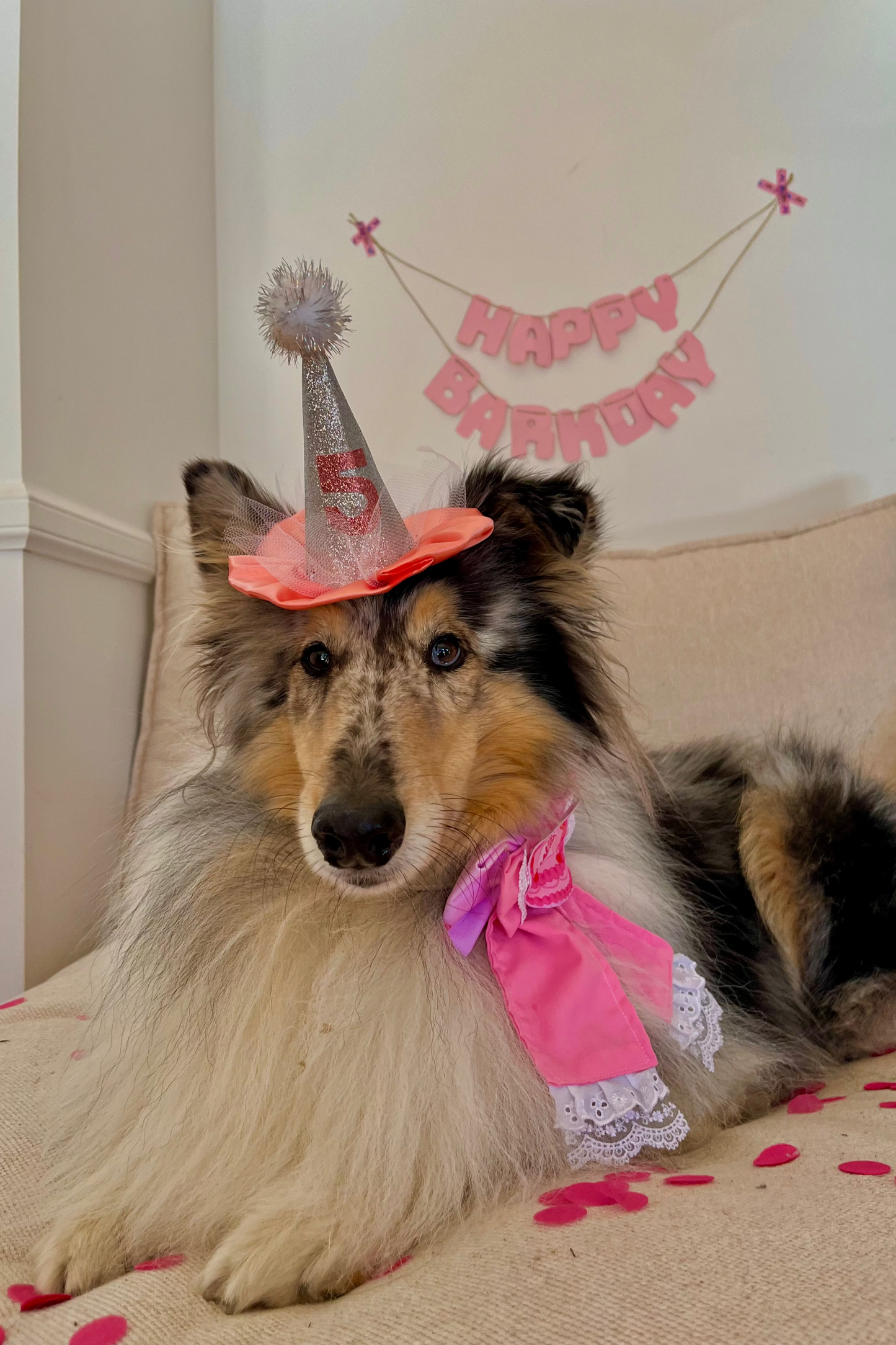 Create Your Own PAW-ty Hat