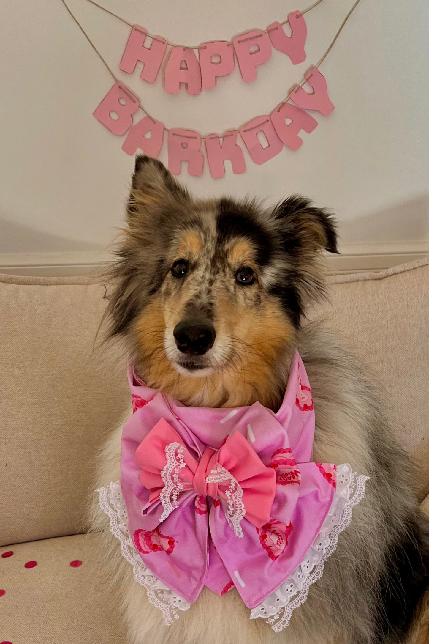Dog wearing a pink birthday outfit with a cake and candle on a cushion with heart patterns.