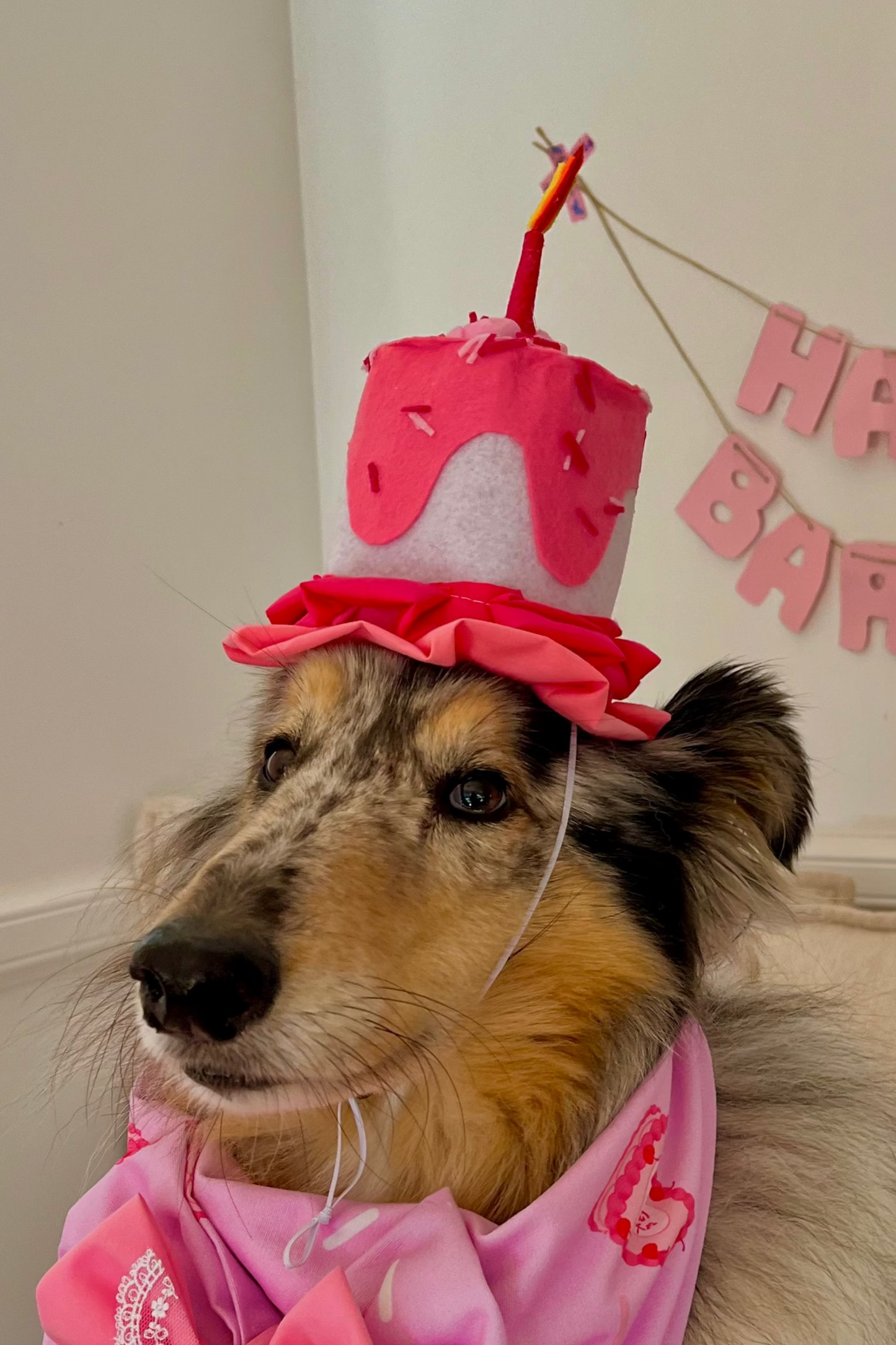 Cake Hat