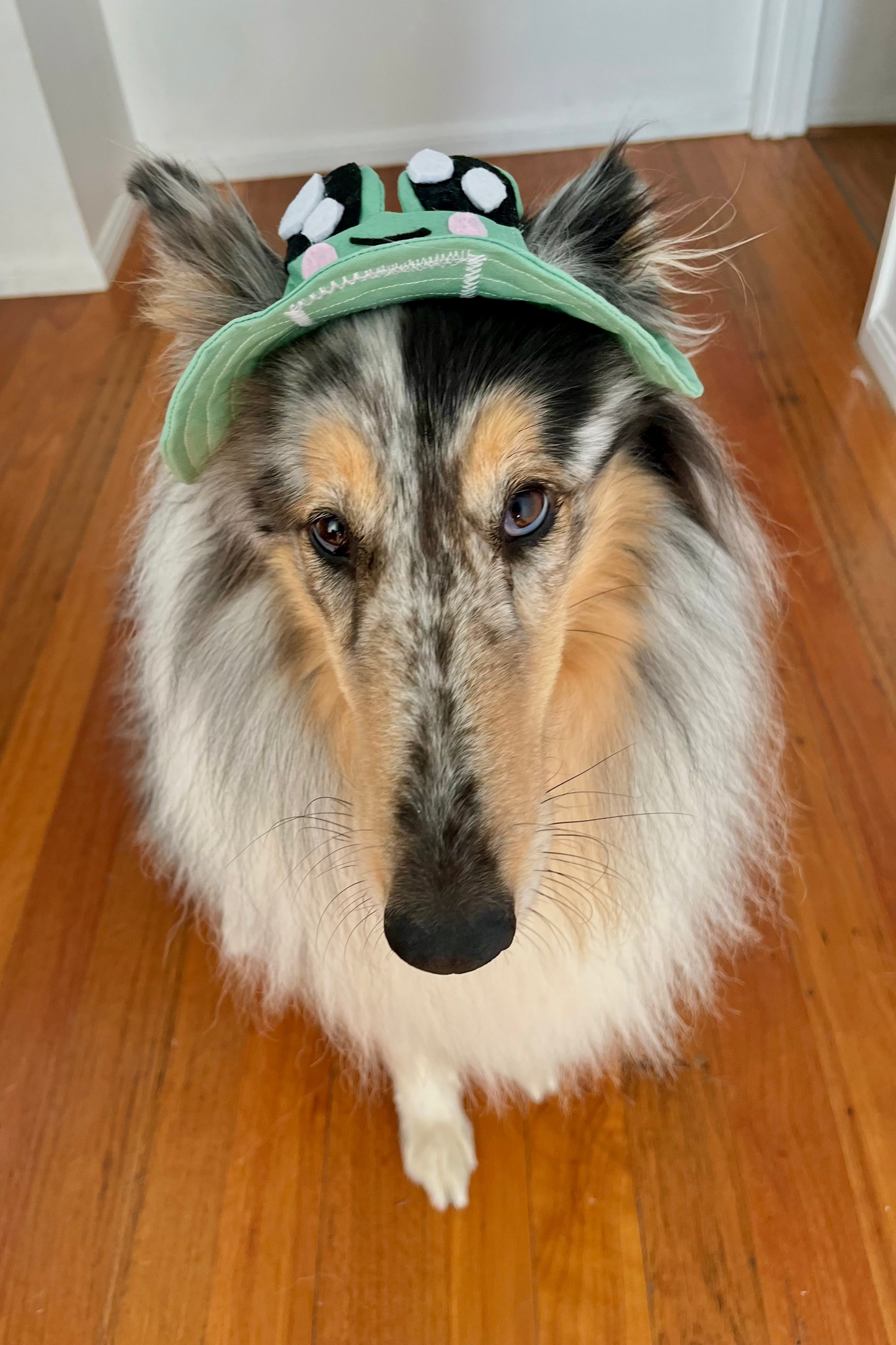 Barket Hats