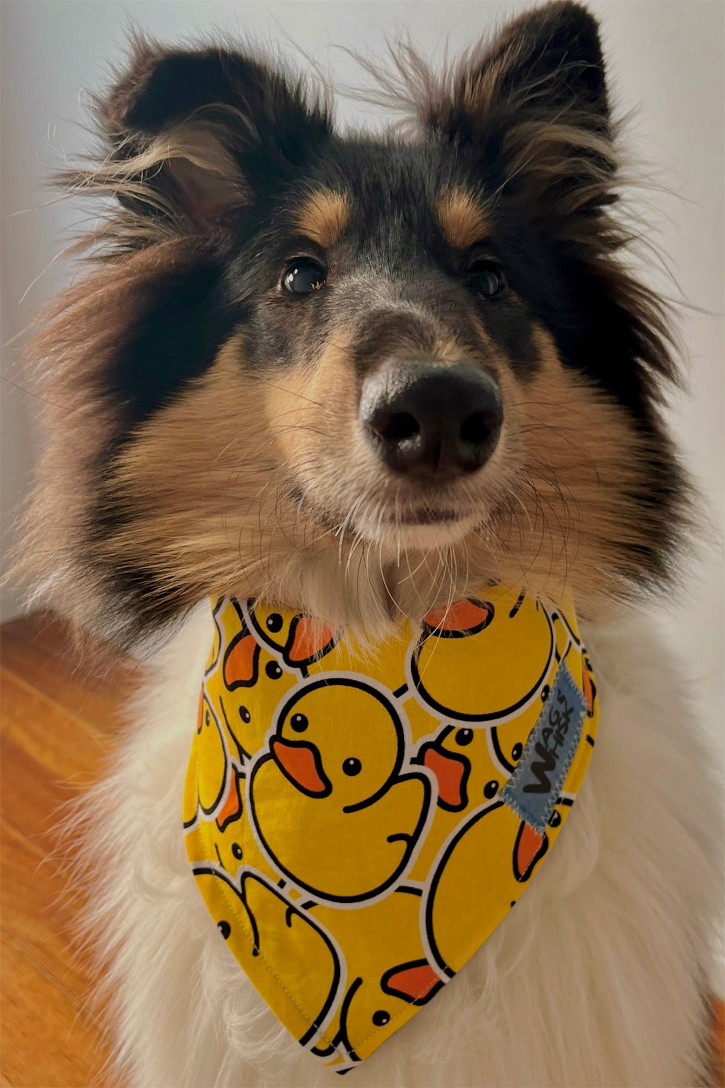 3 Snaps Bandanas