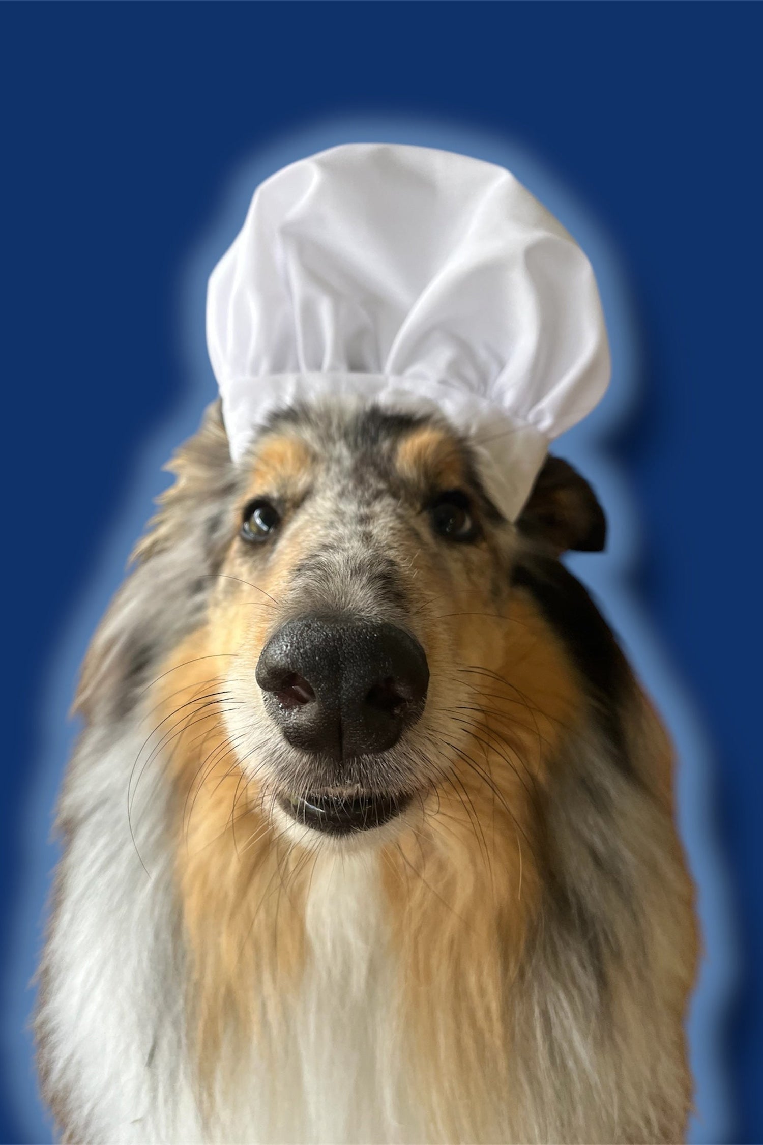 Get Your Chef On!