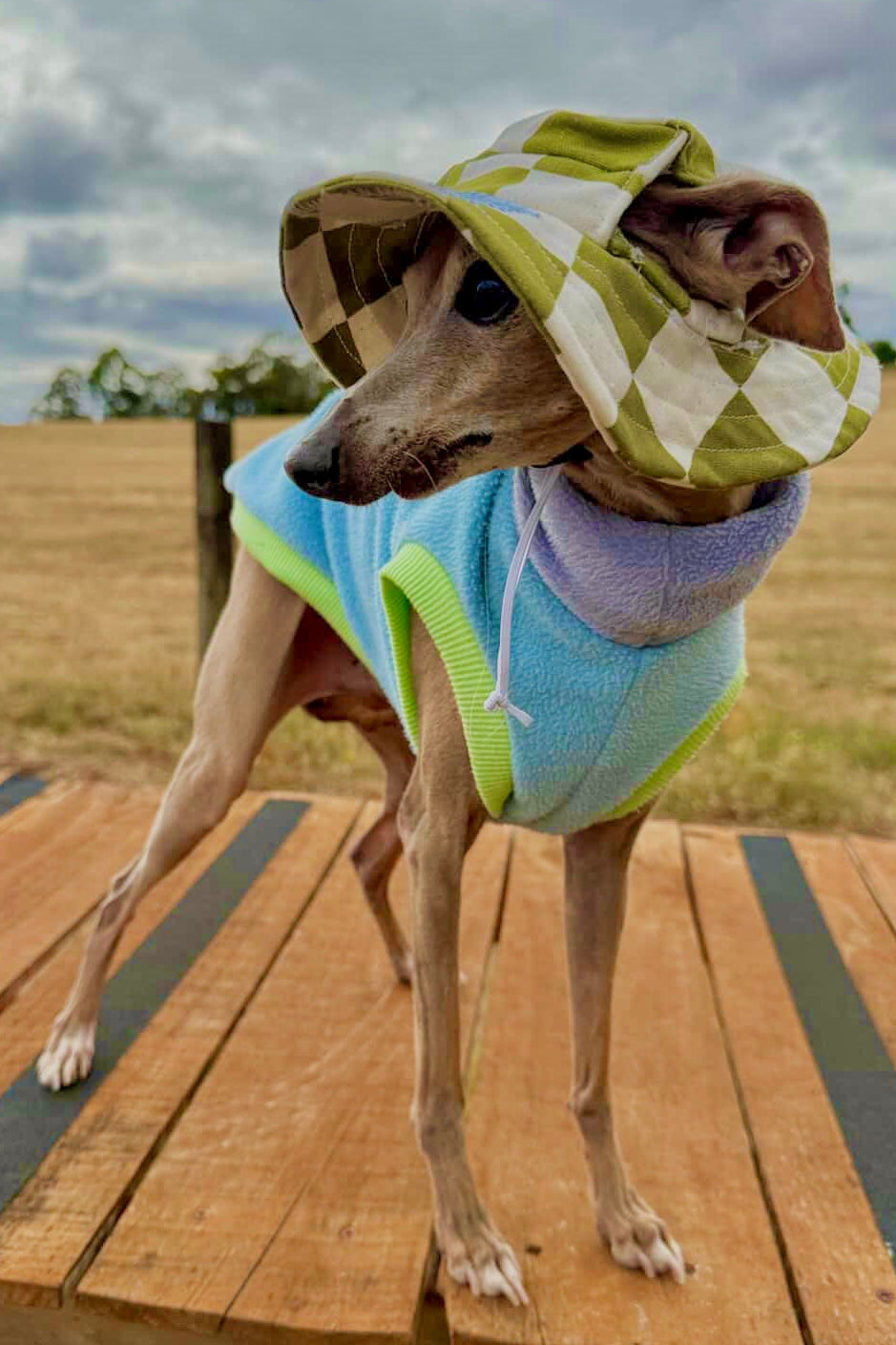 Our RUFF Cut Barket Hats