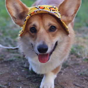 Barket Hats