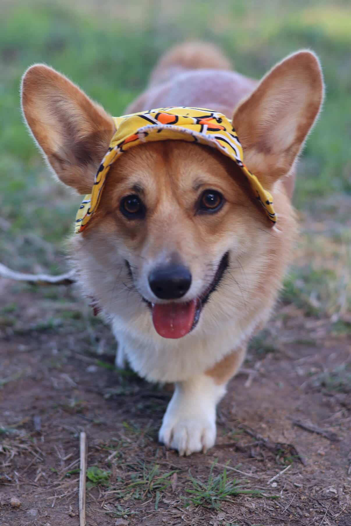 Our RUFF Cut Barket Hats