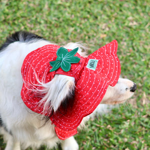 LIMITED: September Only Barket Hats