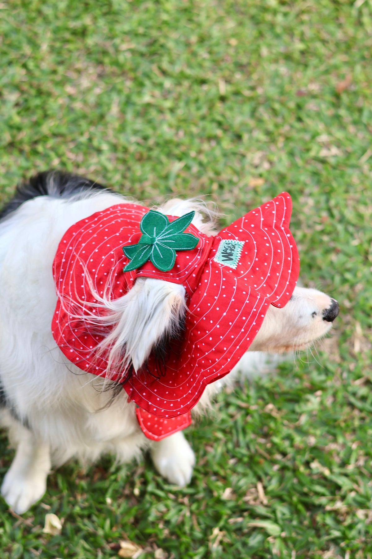 LIMITED: September Only Barket Hats