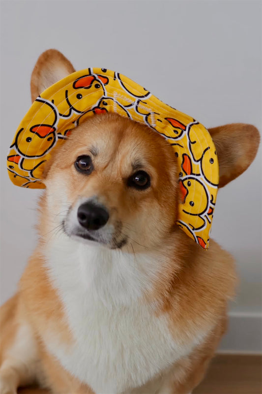 Barket Hats