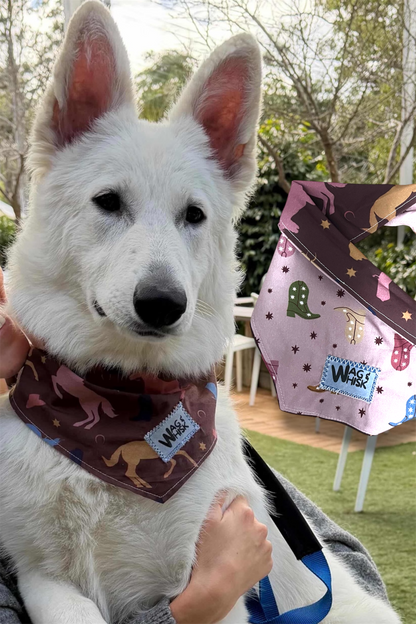 Tie-Up Reversible Bandanas
