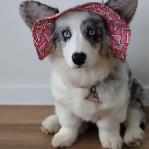 Barket Hats