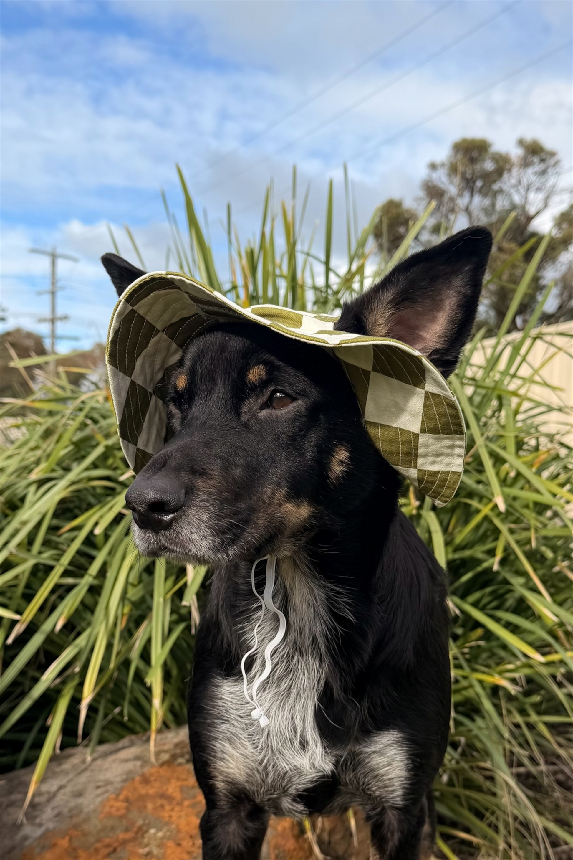 Barket Hats