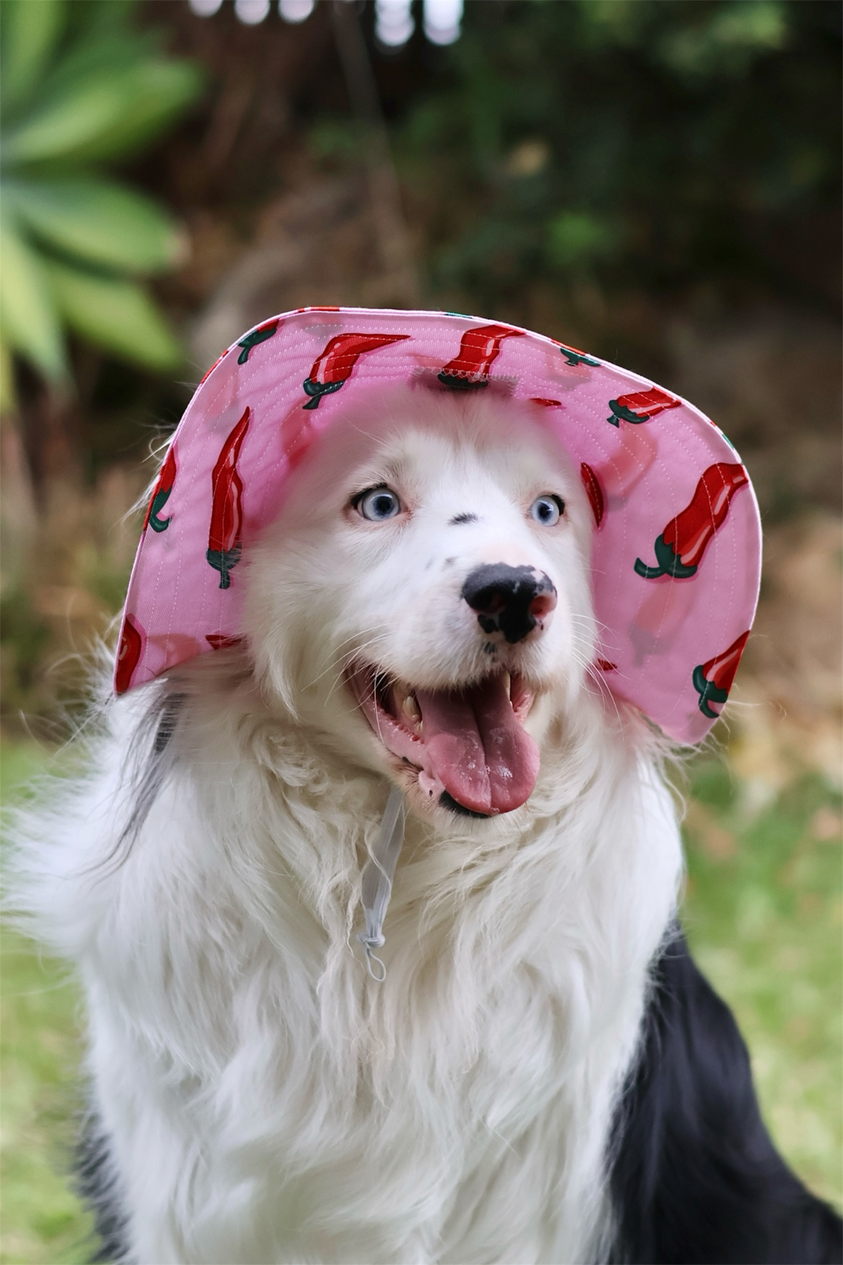 Barket Hats