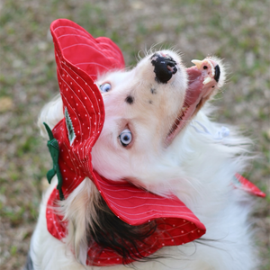 LIMITED: September Only Barket Hats
