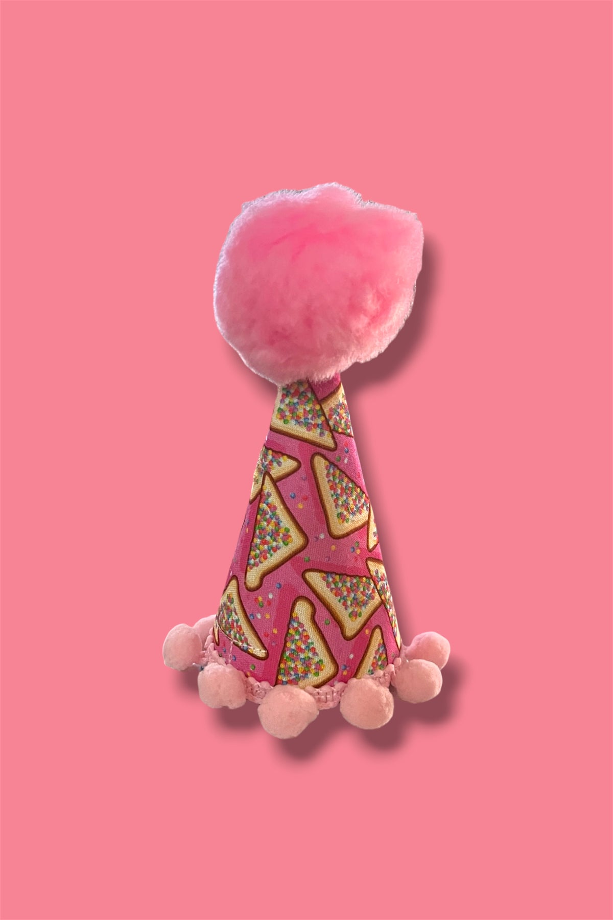 PAW-ty Hat