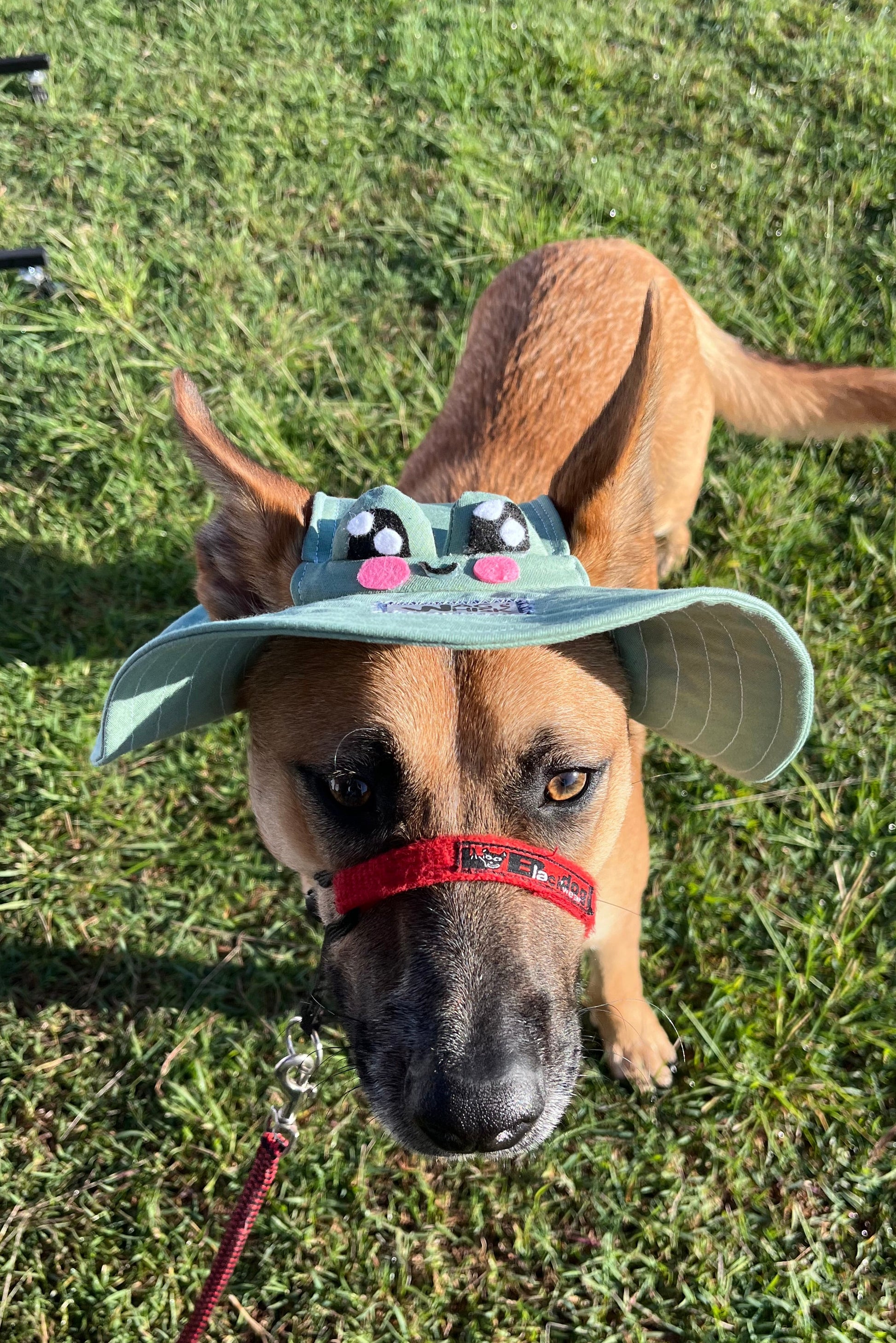 Barket Hats
