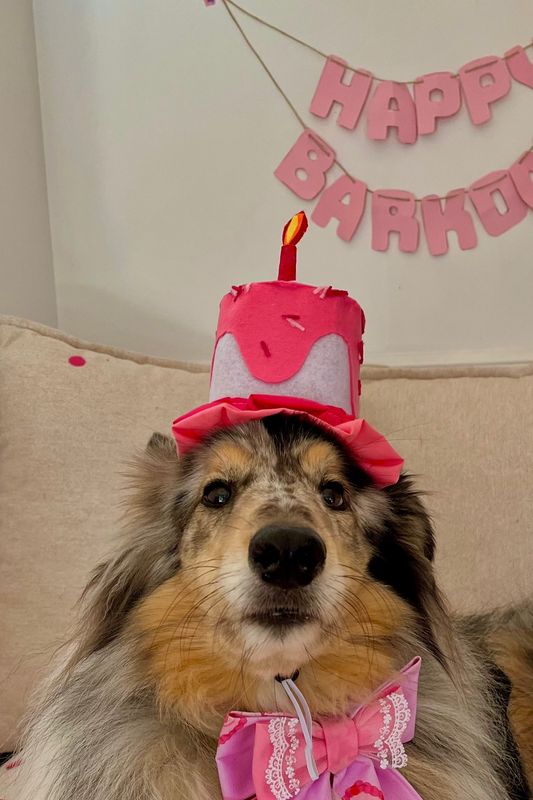 Cake Hat