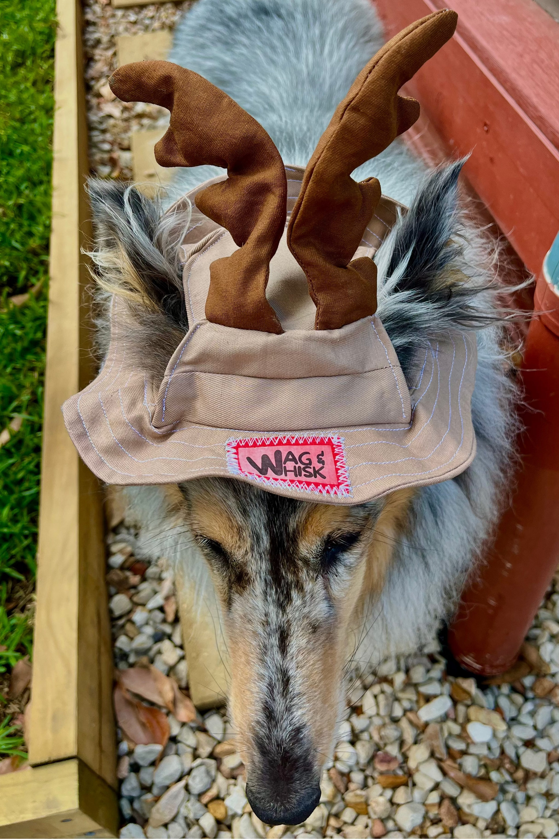 Limited Edition: Santa's Little Barker Hat