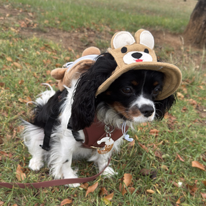 Barket Hats