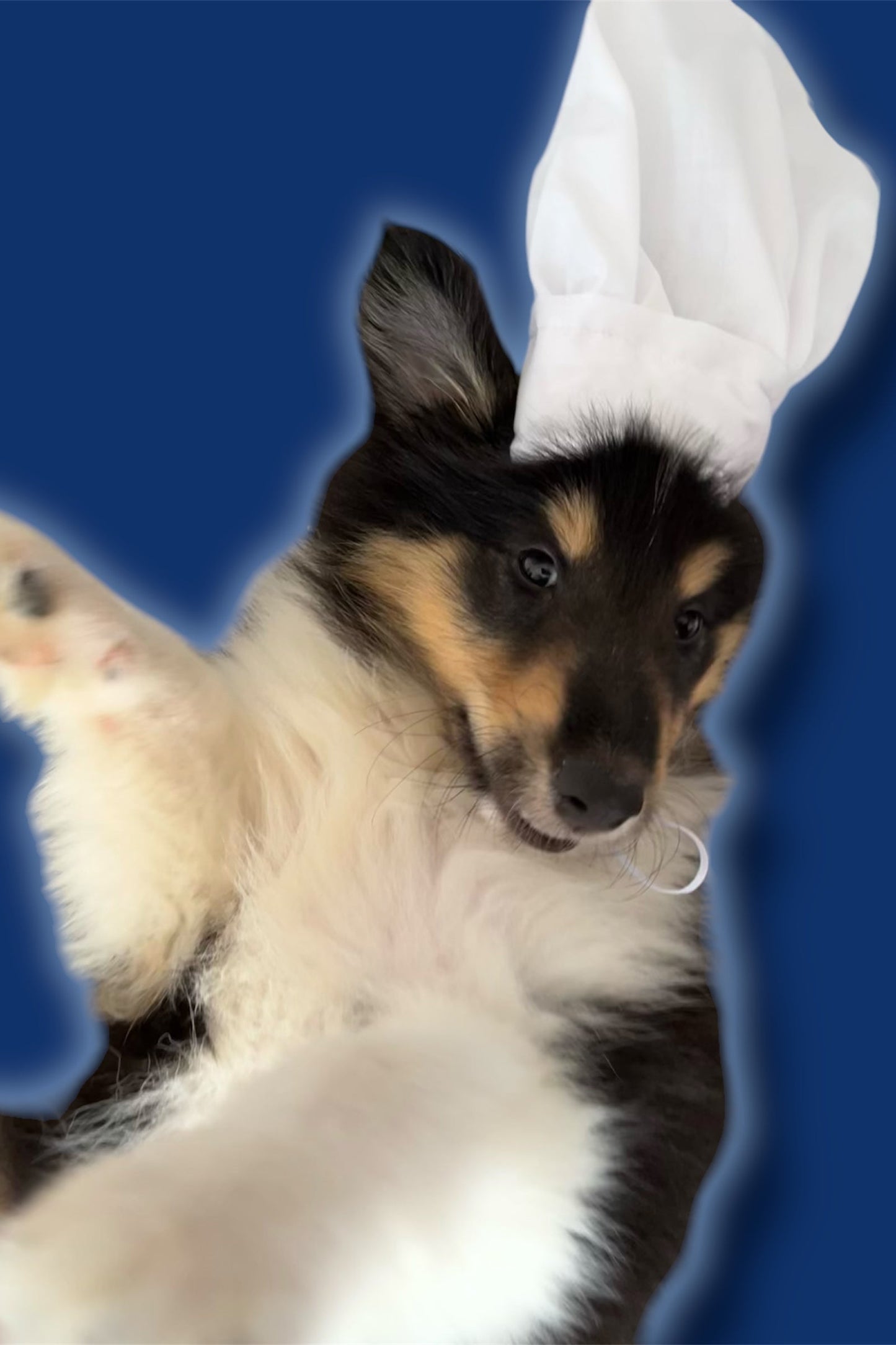 Chef Hat