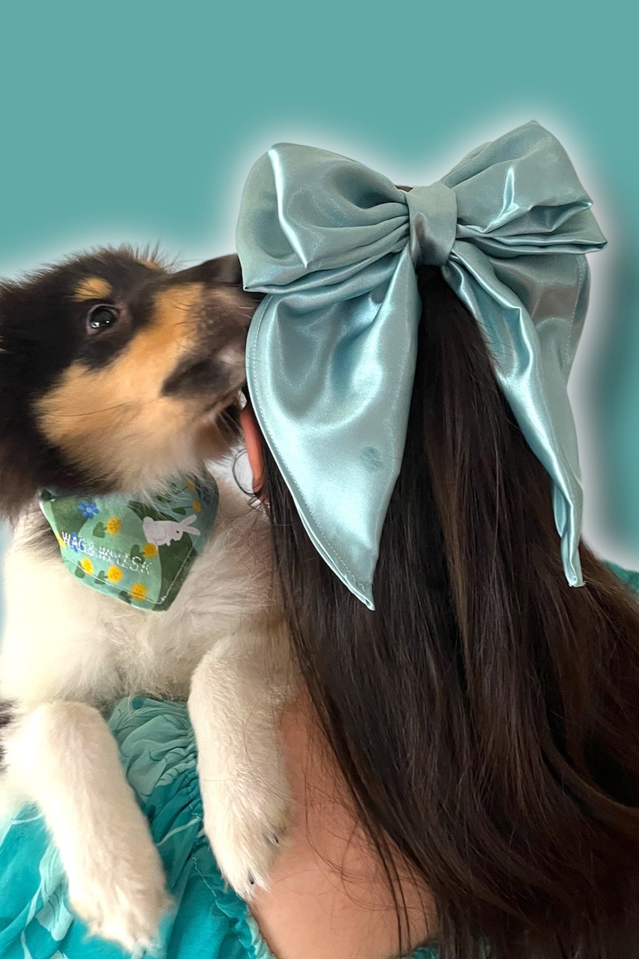 Big Bows