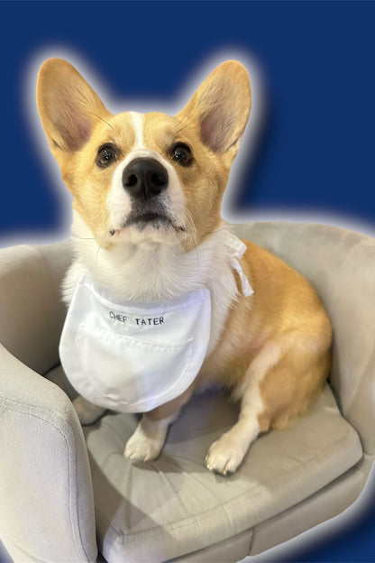 Chef Apron
