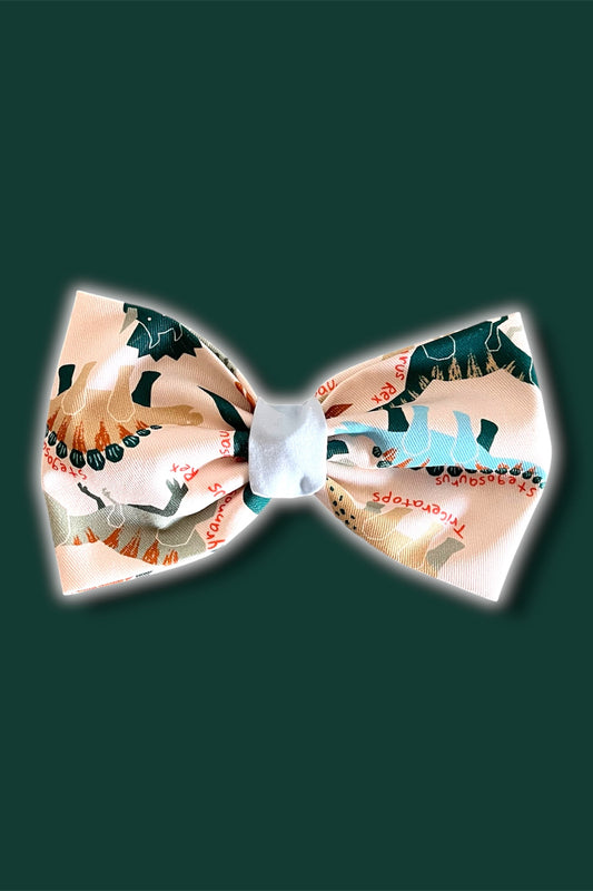 Big Bow Ties