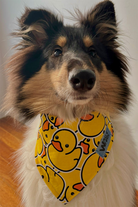 3 Snaps Bandanas