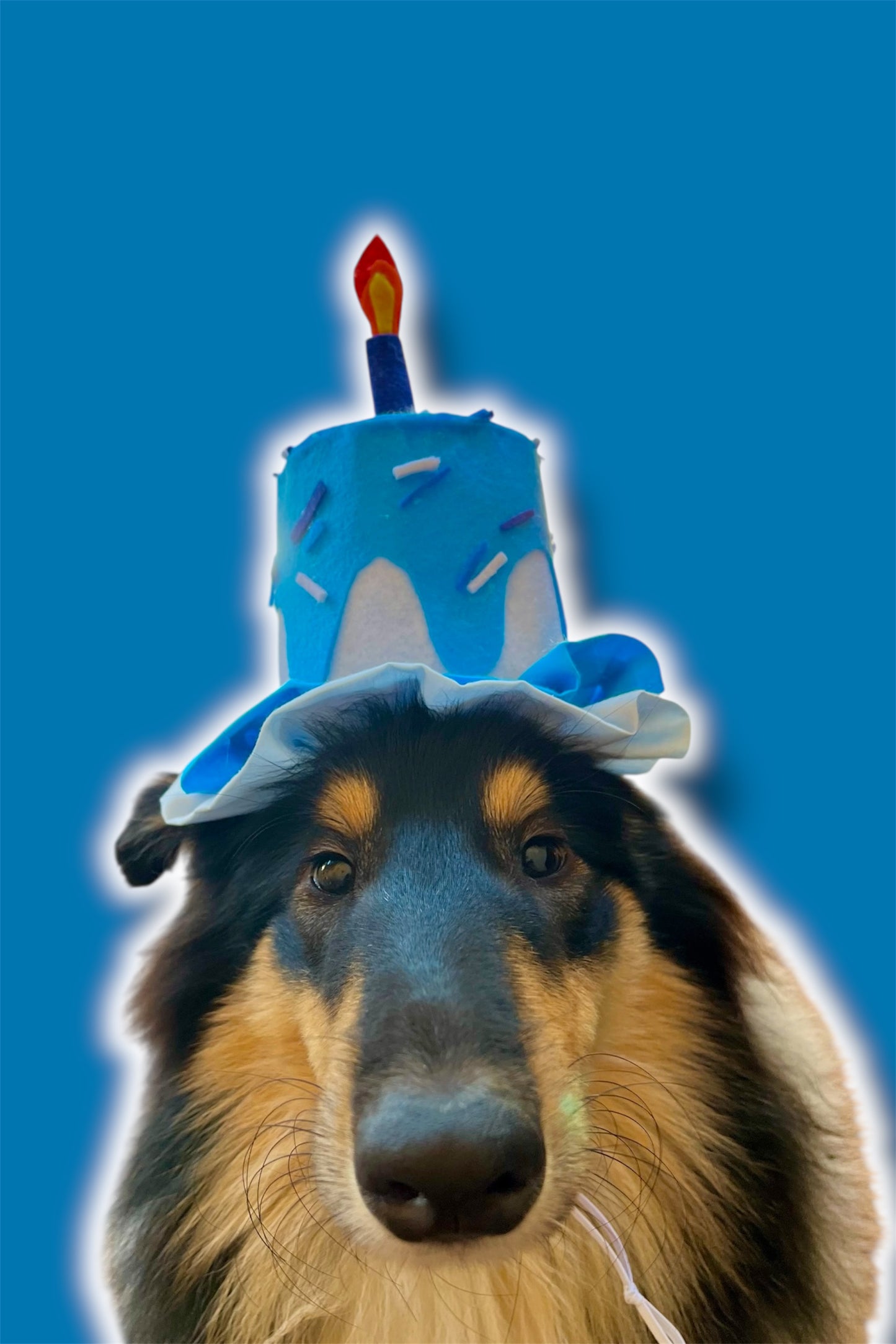 Cake Hat