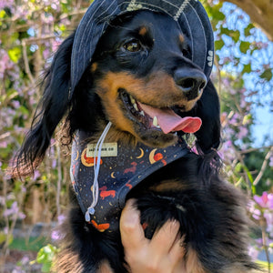 Barket Hats
