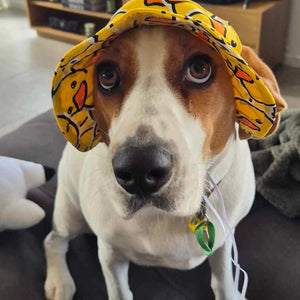 Barket Hats