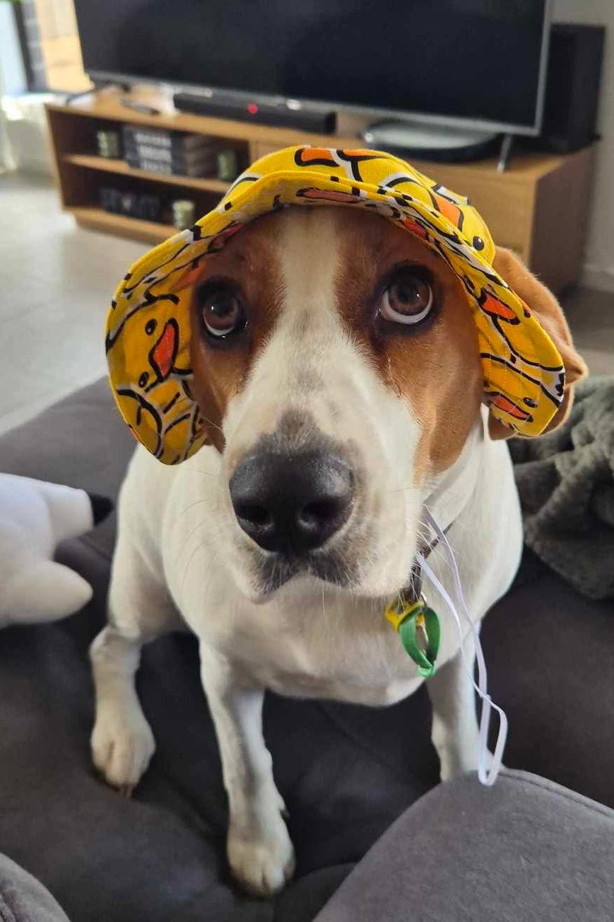 Barket Hats